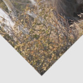 Eindrucksvolle Stier-Elche Seidenpapier (Ausschnitt)