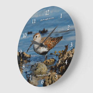 Eindrucksvoller Alpenstrandläufer am Strand Große Wanduhr