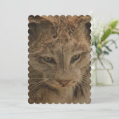 Eindrucksvoller Luchs Einladung (Stehend Vorderseite)