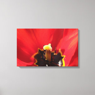 Eindrucksvolles Makro einer Tulpenblüte Leinwanddruck