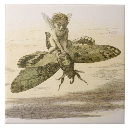 Eine Abends-Fahrt, Illustration von 'im Fliese (Vorderseite)