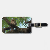 Eine abgehaltene Eule auf einer Niederlassung im Gepäckanhänger (Vorderseite horizontal)