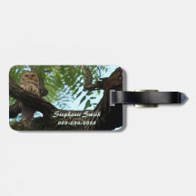 Eine abgehaltene Eule auf einer Niederlassung im