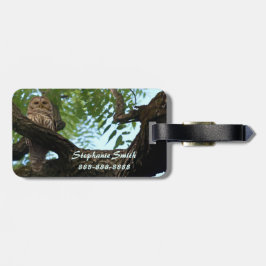 Eine abgehaltene Eule auf einer Niederlassung im Gepäckanhänger