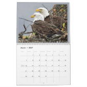 Eine Adlerfamilie Kalender (Mär 2027)
