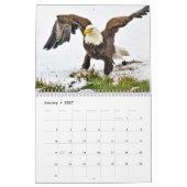 Eine Adlerfamilie Kalender (Jan 2027)