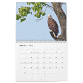 Eine Adlerfamilie Kalender (Feb 2027)