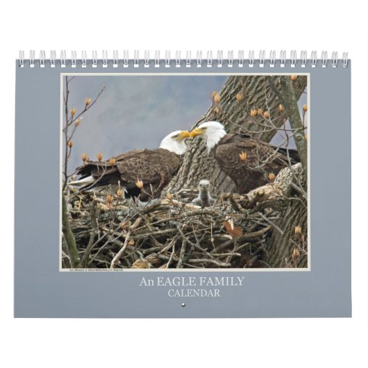 Eine Adlerfamilie Kalender (Titelbild)