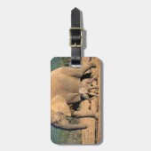 Eine afrikanische Elefantenmutter und ein Kalb unt Gepäckanhänger (Vorderseite vertikal)