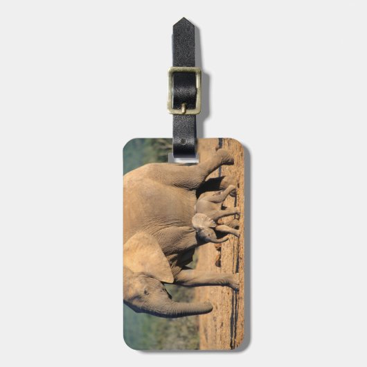 Eine afrikanische Elefantenmutter und ein Kalb unt Gepäckanhänger (Vorderseite vertikal)