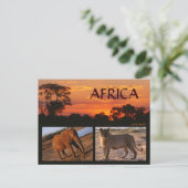 Eine afrikanische Safari-Postkarte Postkarte (Stehend Vorderseite)