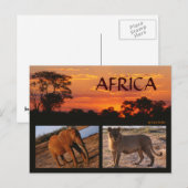Eine afrikanische Safari-Postkarte Postkarte (Vorne/Hinten)
