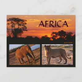 Eine afrikanische Safari-Postkarte Postkarte