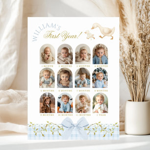 Eine alberne Gans Junge 1. Geburtstagsfoto-Meilens Poster