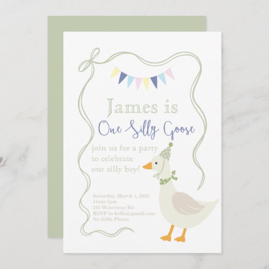 Eine Alberne GänseGeburtstagsparty Einladung (Vorne/Hinten)