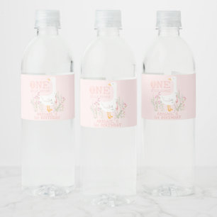 Eine Alberne Gänsepink-Girls 1. Geburtstag Wasserflaschenetikett