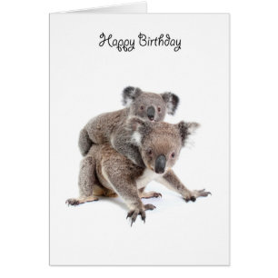 Eine alles Gute zum Geburtstagkarte des Koala