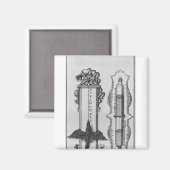 Eine alte Schrift, Abbildung Magnet (Vorderseite/Rückseite)