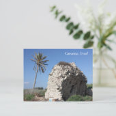 Eine alte Wand mit einer Palme, Caesarea, Israel Postkarte (Stehend Vorderseite)