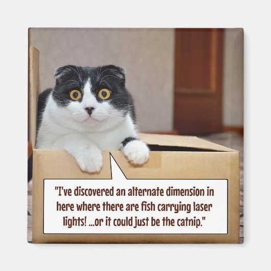 Eine alternative Dimension Magnet (Vorne)