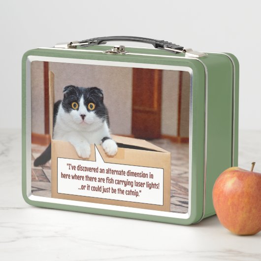 Eine alternative Dimension Metall Brotdose (Beispiel)