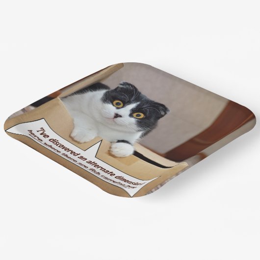 Eine alternative Dimension Pappteller (Gewinkelt)