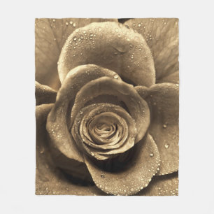 Eine altmodische Rose nah, nass mit Wasserdro Fleecedecke