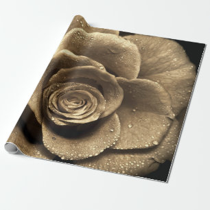 Eine altmodische Rose nah, nass mit Wasserdro Geschenkpapier