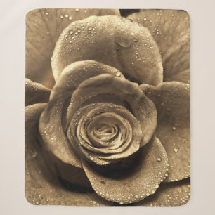Eine altmodische Rose nah, nass mit Wasserdro Sherpadecke