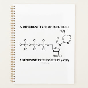 Eine andere Art der ATP-Biochemie für Brennstoffze Planer