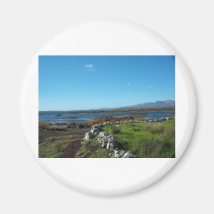Eine andere Connemara Landschaft Magnet