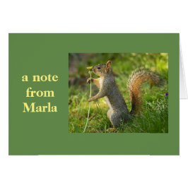 Eine Anmerkung von Marla!