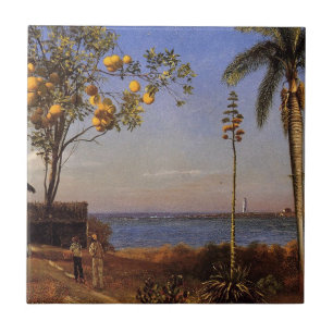 Eine Ansicht auf den Bahamas von Bierstadt Albert. Fliese