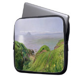 Eine Ansicht von Ailsa Craig und die Insel von Laptopschutzhülle (Vorderseite Links)