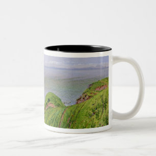 Eine Ansicht von Ailsa Craig und die Insel von Zweifarbige Tasse