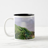 Eine Ansicht von Ailsa Craig und die Insel von Zweifarbige Tasse (Links)