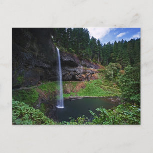 Eine Ansicht von South Falls im Silver Falls State Postkarte
