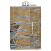 Eine Aquamarine Grauente am Teich Flachmann (Rückseite)