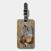 Eine Aquamarine Grauente am Teich Gepäckanhänger (Vorderseite vertikal)