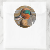 Eine Aquamarine Grauente am Teich Runder Aufkleber (Tasche)