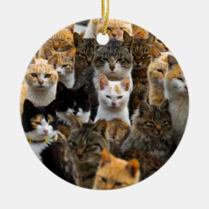Eine Armee der Katzen, Aoshima Insel, Japan Keramikornament
