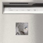 Eine Aschenspülung steigt Magnet (In Situ (Geschirrspüler))