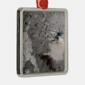 Eine Aschenspülung steigt Ornament Aus Metall (Rechts)