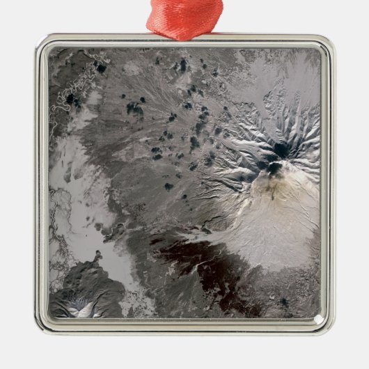 Eine Aschenspülung steigt Ornament Aus Metall (Vorne)