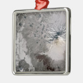 Eine Aschenspülung steigt Ornament Aus Metall (Links)