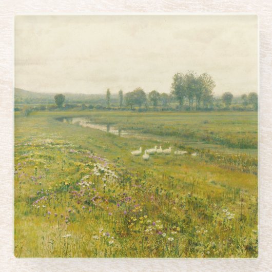 Eine ausgedehnte Wiesen-Landschaft mit Gänsen Glasuntersetzer (Vorderseite)