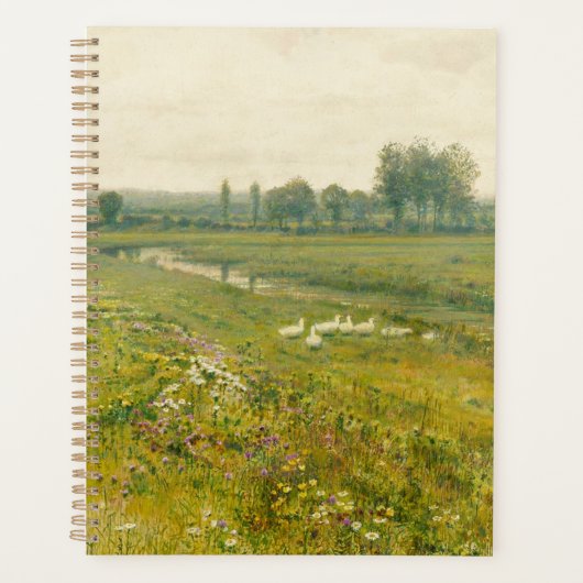 Eine ausgedehnte Wiesen-Landschaft mit Gänsen Planer (Vorderseite)