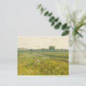 Eine ausgedehnte Wiesen-Landschaft mit Gänsen Postkarte (Stehend Vorderseite)