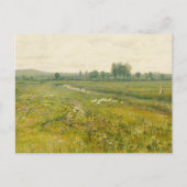 Eine ausgedehnte Wiesen-Landschaft mit Gänsen Postkarte (Vorderseite)