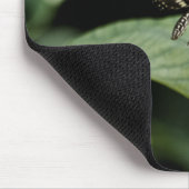 Eine ausgewogene Mehlspeise Mousepad (Ecke)